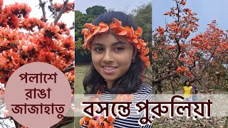 বসন্তে পুরুলিয়া || Purulia Tour 2024 || পলাশে রাঙা জাজাহাতু @ArasQuest