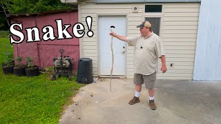 Giant Snake in My Catfish Boat Garage + Worm Farming for Fishing!