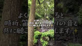 瀬織津姫生誕の地　瀧川神社で不思議な笛の音が聴こえました