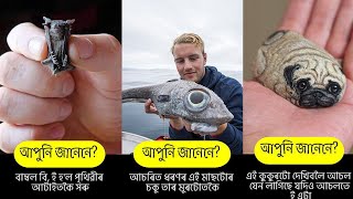 আপুনি জানেনে?Amazing facts in Assamese 2021