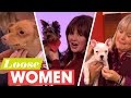 Dogs Loose In The Studio! | Loose Women