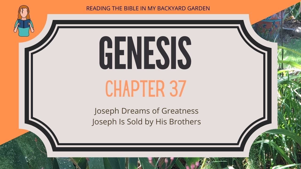 Genesis Chapter 37 | NRSV Bible - YouTube