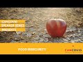 CanCOVID Speaker Series: Food Insecurity