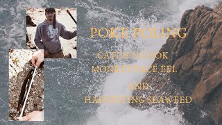 MonkeyFace EEl Catch N Cook Sushi Poke Poling Bodega Jetty
