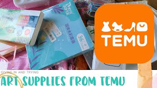 Never Again! The Ups and Downs of Buying From Temu- Art Supply Haul & Concerns