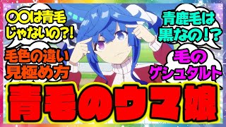 『青毛のウマ娘ってまだ一人も居ないのか…』に対するみんなの反応 まとめ ウマ娘プリティーダービー レイミン