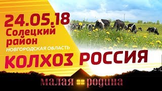 Малая Родина. Колхоз «Россия»