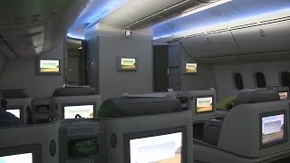 Ethiopian B787 Business Class Flight from Addis Ababa to Rome