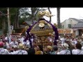 平成25年　川崎丸子・山王日枝神社　山王祭　宮入道中