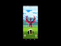 ポケモンgo ガラルファイヤーついにゲット！？excellent？なにそれおいしいの？　動き方の参考にどうぞ