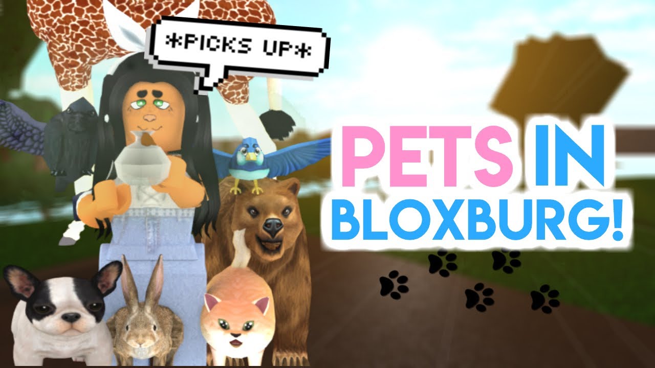 IF BLOXBURG HAD PETS *Update*!!! | SunsetSafari - YouTube