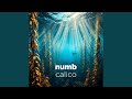 Numb