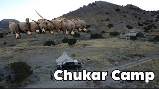 Utah Chukar Hunting \u0026 Camping! Limit Day!!