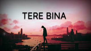 TERE BINA - KARTIK (Official Music Video) || Prod By_MUZIK JD