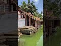 thiruvangad temple pond thiruvangad subscribe nature beauty beautiful fish trending travel