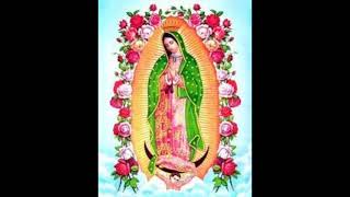 imágenes de dios y la virgen de guadalupe