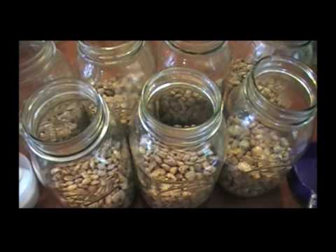 Home Canning Pinto Beans Home Canning Pinto Beans
