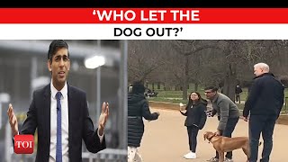 UK PM Rishi Sunak is in trouble again! This time, because of his dog...