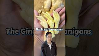 The Ginger Shenanigans #chineseculture #ginger #food #chinesecuisine #learnchinese #funny