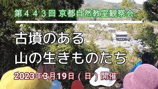 【観察会】2023年3月「古墳のある山の生き物たち」（双ヶ丘）