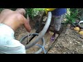 one important septic tank clean tip in sinhala language