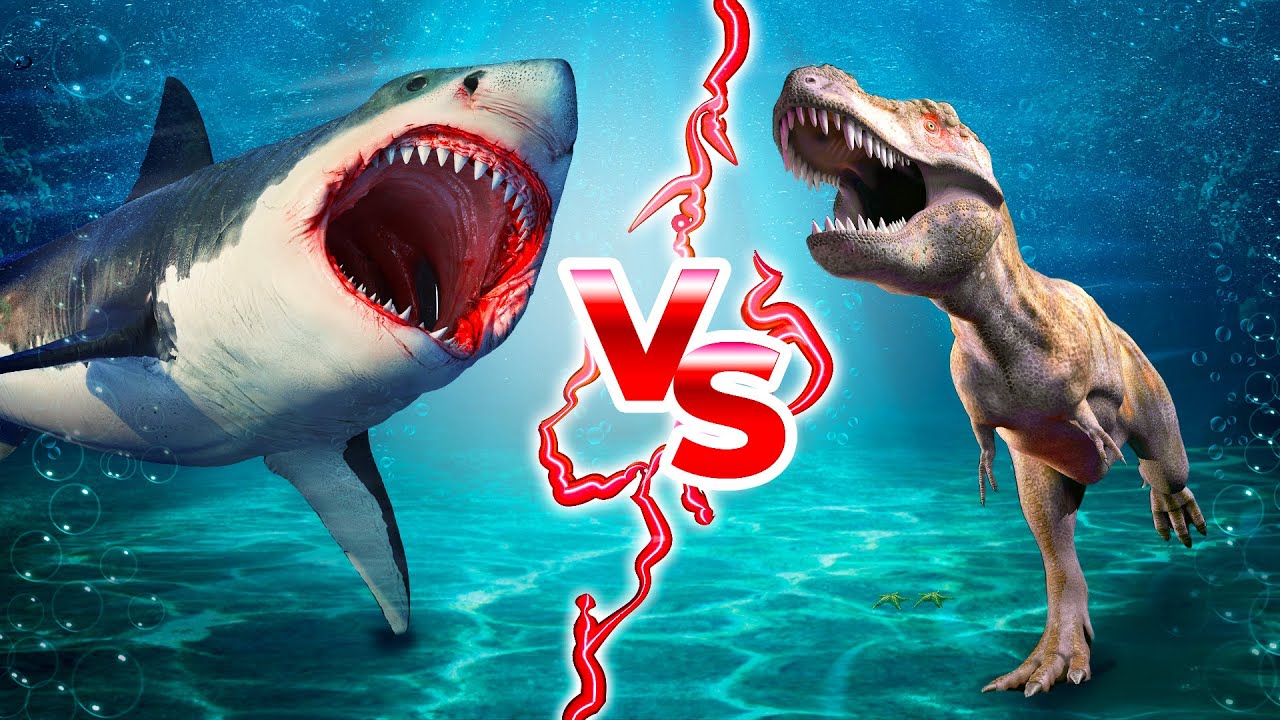 Megalodon Shark Vs T Rex Megalodon Shark Vs T Rex
