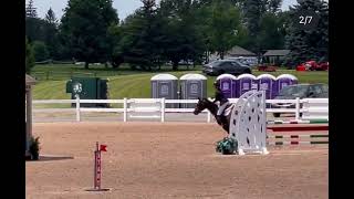 first place 1m jump off, wesley clover parks