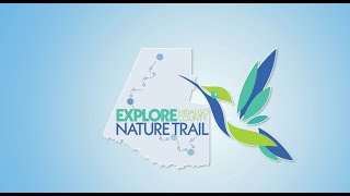 Explore Hidalgo County