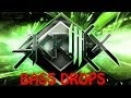 Skrillex Top 10 Bass Drops of All Time