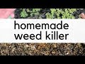 Homemade Natural Weed Killer