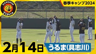 【春季キャンプ2024・うるま(具志川)】2月14日