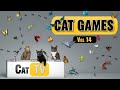 CAT Games | Ultimate Cat TV Bugs and Butterflies Compilation Vol 14 🪲 🐞🦋🦗🐜  Videos For Cats to Watch