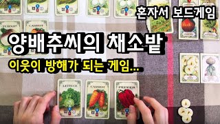 혼자서 보드게임 : 양배추씨의 채소밭 Mr. Cabbagehead's Gargen