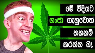 කංසා වල ඇති සුපිරි ප්‍රයෝජන | Mind blowing facts about Kansa | Katusatahan