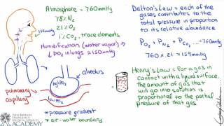 Alveolar-Capillary Gas Exchange