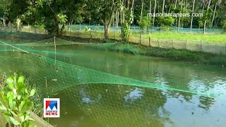 പാറമടയിൽ പിട പിടയ്ക്കണ ഫിഷ് ഫാം | Nattupacha | FishFarm | Kakkanad