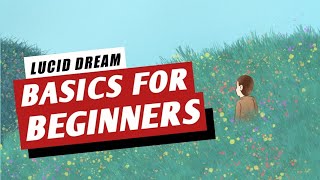Beginner's Guide to Lucid Dreaming | The Basics