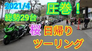 圧巻！総勢29台！桜🌸日帰りツーリング