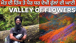ਹੇਮਕੁੰਟ ਸਾਹਿਬ ਫੁੱਲਾਂ ਦੀ ਘਾਟੀ ਦਾ ਨਜ਼ਾਰਾ । Valley Of Flowers Utrakhand । Hemkund Sahib । Rahgeer