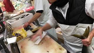 石川県七尾市の鮮魚販売　朝どれ魚をおさしみで！