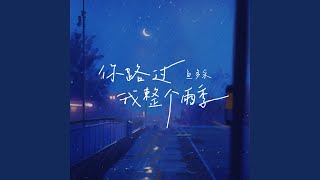 你路过我整个雨季