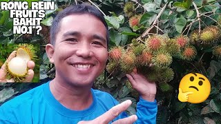 RONG REIN RAMBUTAN FRUITS BAKIT NO.1 VARIETY?