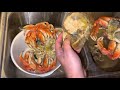 how to clean dungeness crab at home costco crab 🦀🧼 🧽 my way