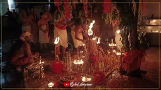 ഭദ്രകാളി മഹാഗുരുതി  പൂജ കണ്ടിട്ടുണ്ടോ? #kerala #guruthi #bhadrakali #templefestivalsofkerala #tamil