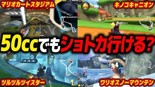 【マリカ】実況者みんなで50㏄対決に挑んだ結果www【マリオカート8デラックス】