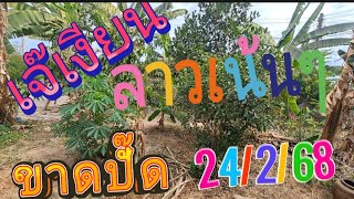 เน้นหางเดียวลาวเจ๊เหงียน/เซียนขาดปี๊ด24/2/68