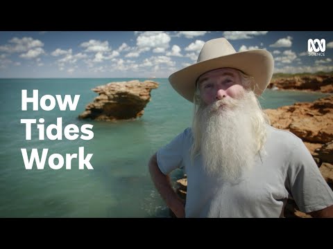 What does the moon control?
