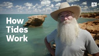 How does the Moon control Earth's tides? | Stargazing | ABC Science