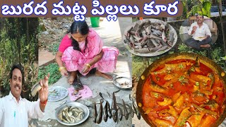 బురద మట్ట పిల్లలు కూర | How to make small fish curry | Koramenu fish curry in Telugu