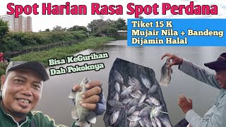 Busettt Gurih Banget Nih Spot Mancing❗Mancing Siang Aja Gacorrr Bener